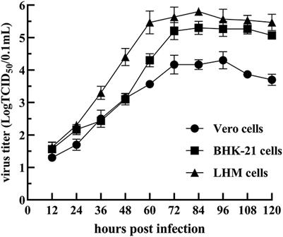 Characterization and pathogenicity evaluation of recombinant novel duck reovirus isolated from Southeast China